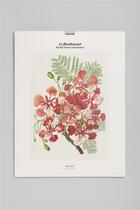 Couverture du livre « Flamboyant » de Berthe Hoola Van Nooten aux éditions Reliefs Editions