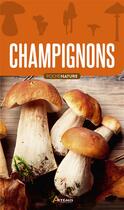 Couverture du livre « Champignons » de Jean-Marie Polese aux éditions Artemis