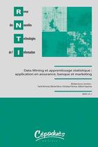 Couverture du livre « Data mining et apprentissage statistique ; application en assurance, banque et marketing » de  aux éditions Cepadues