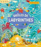 Couverture du livre « Droles de labyrinthes (5+) » de Danilova Lida aux éditions Chantecler