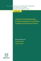 Couverture du livre « Charte des droits fondamentaux de l'Union européenne et convention européenne des droits de l'homme » de Laurent Coutron et Caroline Picheral aux éditions Bruylant