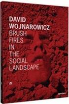 Couverture du livre « David wojnarowicz brush fires in the social landscape » de David Wojnarowicz aux éditions Aperture