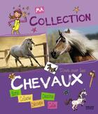 Couverture du livre « Tout sur les chevaux » de Isabelle Maroger aux éditions Milan