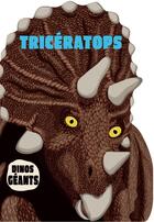 Couverture du livre « Dinos géants : Tricératops » de Dan Crisp et Marco Sanders aux éditions Casterman