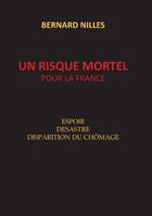 Couverture du livre « Un risque mortel pour la France ; espoir désastre disparition du chômage » de Bernard Nilles aux éditions Books On Demand