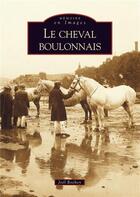Couverture du livre « Le cheval boulonnais » de Joel Rochoy aux éditions Editions Sutton