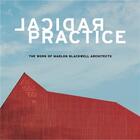 Couverture du livre « Radical practice the work of marlon blackwell architects » de Peter Mackeith et Jonathan Boelkins aux éditions Princeton Architectural