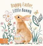 Couverture du livre « Happy easter little bunny » de Amanda Wood et Vikki Chu et Bec Winnel aux éditions Abrams Us