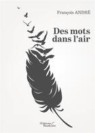 Couverture du livre « Des mots dans l'air » de Francois Andre aux éditions Baudelaire