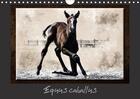 Couverture du livre « Equus caballus calendrier mural 2018 din a4 horizontal - cheval et equipement calendrie » de Mahevo K aux éditions Calvendo