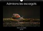 Couverture du livre « Admirons les escargots calendrier mural 2018 din a4 horizont » de Christina L aux éditions Calvendo