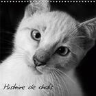 Couverture du livre « Photos de chats tous plus craq » de Photos Ysis aux éditions Calvendo