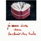 Couverture du livre « Je vous écris avec la chair des mots » de Marie Darrieussecq et Michael Serfaty aux éditions Arnaud Bizalion