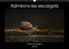 Couverture du livre « Admirons les escargots calendrier mural 2018 din a3 horizont » de Christina L aux éditions Calvendo