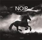 Couverture du livre « Noir : une histoire dans la nuit » de Stephane Kiehl aux éditions La Martiniere Jeunesse