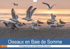 Couverture du livre « Oiseaux en baie de Somme ; calendrier mural 2018 » de Stephane Bouilland aux éditions Calvendo