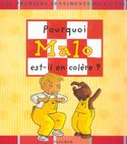 Couverture du livre « Pourquoi Malo Est-Il En Colere ? » de Madeleine Brunelet et Katrine-Marie Amiot aux éditions Fleurus