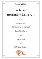 Couverture du livre « Un hasard nommé 