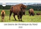 Couverture du livre « Les bisons de l amerique du nord calendrier mural 2020 din a4 horizontal - le bison est le plus gran » de Wilczek Dieter aux éditions Calvendo