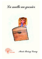 Couverture du livre « La malle au grenier » de Marie Boissy-Lamy aux éditions Editions Edilivre