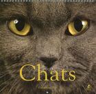 Couverture du livre « Chats ; calendrier 2016 » de  aux éditions Place Des Victoires