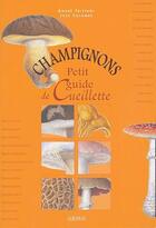 Couverture du livre « Champignons, petit guide de cueillette » de Colombe et Tristani aux éditions Albiana