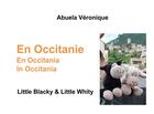 Couverture du livre « En Occitanie ; little blacky & little whity » de Veronique Abuela aux éditions Books On Demand