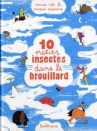 Couverture du livre « 10 petits insectes t.2 ; 10 petits insectes dans le brouillard » de Davide Cali et Vincent Pianina aux éditions Sarbacane