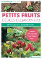 Couverture du livre « Petits fruits ; délices du jardin bio ; choisir, planter, soigner, tailler... » de Denis Pepin aux éditions Terre Vivante