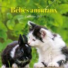 Couverture du livre « Bébés animaux calendrier (édition 2019) » de  aux éditions Place Des Victoires