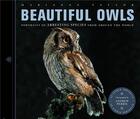 Couverture du livre « Beautiful owls » de Marianne Taylor aux éditions Ivy Press