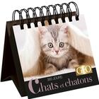 Couverture du livre « 365 jours chats et chatons ; calendrier Geo » de  aux éditions Play Bac