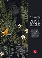 Couverture du livre « Agenda mandala (édition 2020) » de La Plage aux éditions La Plage