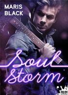 Couverture du livre « Soul storm » de Maris Black aux éditions Mxm Bookmark