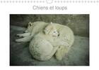 Couverture du livre « Chiens et loups calendrier mural 2020 din a4 horizontal - photographies de chiens et lou (édition 2020) » de Miss Terry aux éditions Calvendo