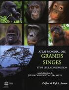 Couverture du livre « Atlas mondial des grands singes et de leur conservation » de  aux éditions Unesco