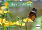 Couverture du livre « Au ras du sol calendrier mural 2020 din a3 horizontal - macrophotographies d insectes » de Gaymard Alain aux éditions Calvendo