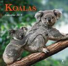 Couverture du livre « Koalas calendrier (édition 2019) » de  aux éditions Place Des Victoires