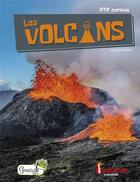 Couverture du livre « Les volcans » de Vincent Coigny aux éditions Grenouille