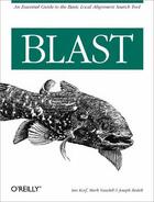 Couverture du livre « Blast » de Korf aux éditions O Reilly & Ass