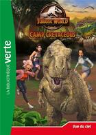 Couverture du livre « Jurassic World - la colo du crétacé Tome 9 : vue du ciel » de Olivier Gay aux éditions Hachette Jeunesse