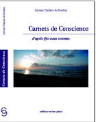 Couverture du livre « Carnets de conscience d'après qui nous sommes » de S. T. Du Boullay aux éditions Vesica Piscis