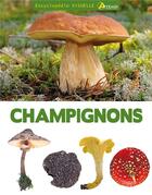 Couverture du livre « Encyclopédie visuelle des champignons » de Jean-Louis Lamaison et Jean-Marie Polese aux éditions Artemis