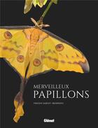 Couverture du livre « Merveilleux papillons » de Vincent Albouy et Biosphoto aux éditions Glenat