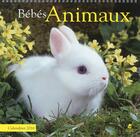 Couverture du livre « Bébés animaux ; calendrier 2016 » de  aux éditions Place Des Victoires